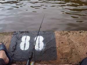 Pemancingan Telaga Buperta/Jambore Cibubur